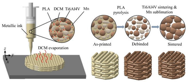 Pore-forming direct ink writing of Ti6Al4V metallic ink showing solvent evaporation, binder removal, and sintering